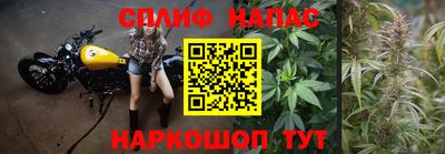 spice Краснодар