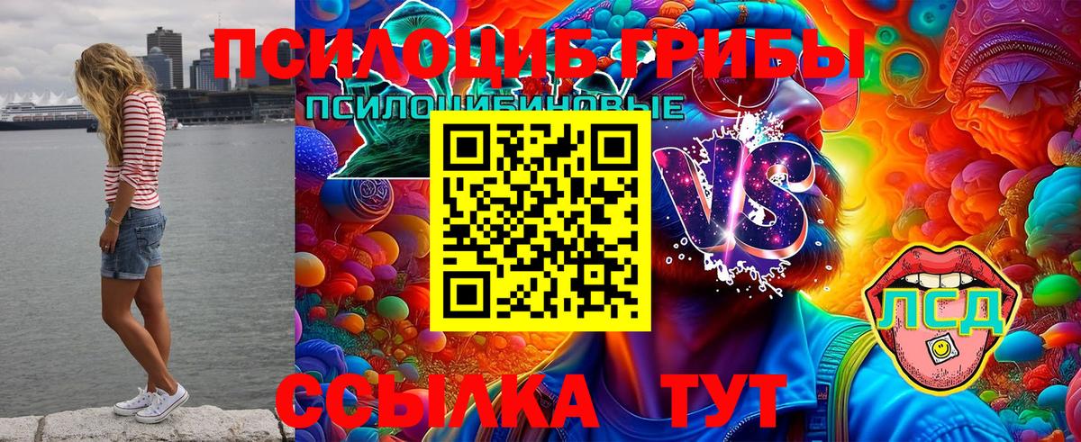 Россия  дарнет шоп  Псилоцибиновые грибы ЛСД  Вход с VPN  Галлюциногенные грибы прущие грибы 